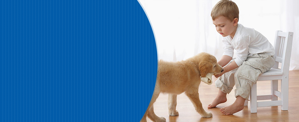 提供安全的產(chǎn)品 協(xié)助您的安心的飼養(yǎng)自己的愛寵